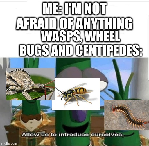 no | ME: I'M NOT AFRAID OF ANYTHING; WASPS, WHEEL BUGS AND CENTIPEDES: | image tagged in allow us to introduce ourselves | made w/ Imgflip meme maker