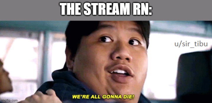 were all going to die | THE STREAM RN: | image tagged in were all going to die | made w/ Imgflip meme maker