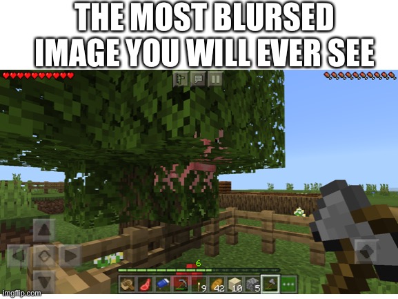 This is a screenshot of me playing Minecraft, and yes, I am a mobile user | THE MOST BLURSED IMAGE YOU WILL EVER SEE | image tagged in blursed | made w/ Imgflip meme maker