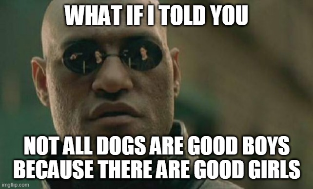 Logic does makes sense after all | WHAT IF I TOLD YOU; NOT ALL DOGS ARE GOOD BOYS BECAUSE THERE ARE GOOD GIRLS | image tagged in memes,matrix morpheus | made w/ Imgflip meme maker