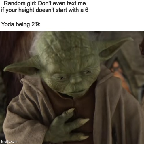 Insecure Yoda | Random girl: Don't even text me if your height doesn't start with a 6; Yoda being 2'9: | image tagged in star wars yoda,yoda,star wars,girls be like,revenge of the sith,star wars prequels | made w/ Imgflip meme maker