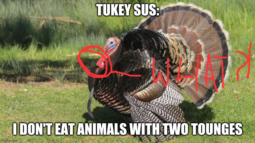 Turkey is sus | TUKEY SUS:; I DON'T EAT ANIMALS WITH TWO TOUNGES | image tagged in sus,turkey | made w/ Imgflip meme maker