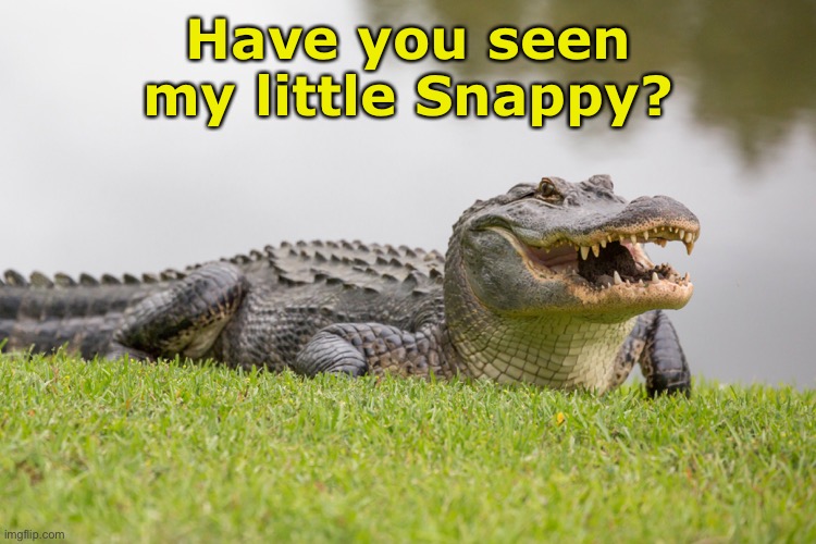 Have you seen my little Snappy? | made w/ Imgflip meme maker