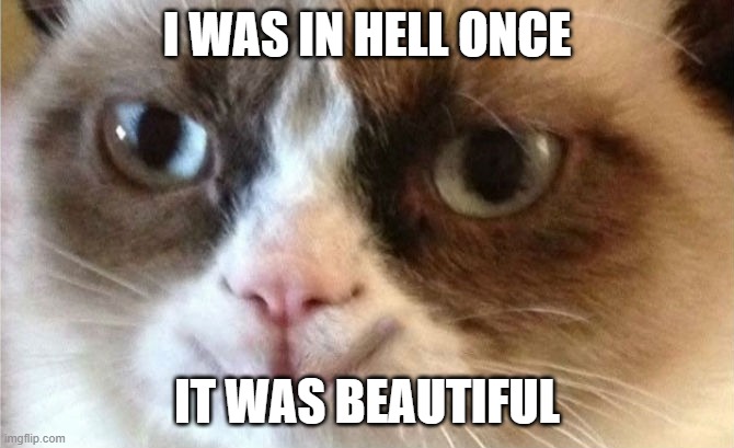 Grumpy Cat | I WAS IN HELL ONCE; IT WAS BEAUTIFUL | image tagged in grumpy cat happy | made w/ Imgflip meme maker