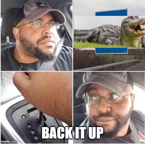 car reverse | BACK IT UP | image tagged in car reverse | made w/ Imgflip meme maker