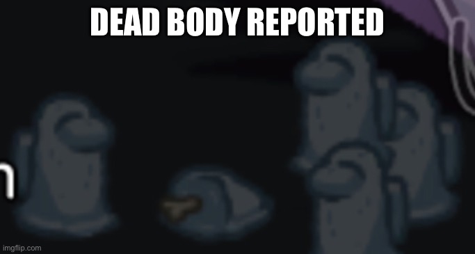 DEAD BODY REPORTED | image tagged in funny,memes | made w/ Imgflip meme maker