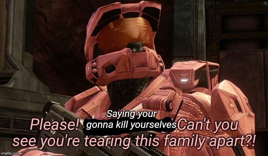Stop saying your gonna kill yourselves* | Saying your gonna kill yourselves | image tagged in please stop fighting can't you see you're tearing this family ap | made w/ Imgflip meme maker