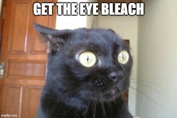 Cannot Be Unseen Cat | GET THE EYE BLEACH | image tagged in cannot be unseen cat | made w/ Imgflip meme maker