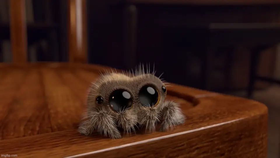 I Hope this make you feels better | image tagged in lucas the spider | made w/ Imgflip meme maker