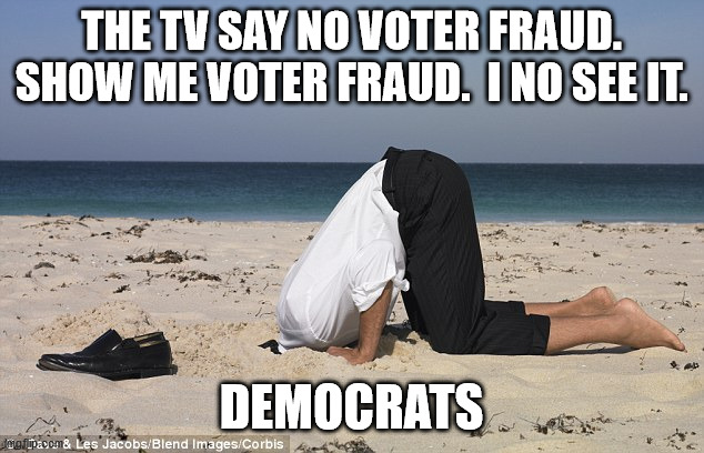 You genuinely have to plant your head firming in the sand (or a bodily oriface) to not see the overwhelming evidence of voter fr | THE TV SAY NO VOTER FRAUD.
SHOW ME VOTER FRAUD.  I NO SEE IT. DEMOCRATS | image tagged in head in trhe sand with stupidity,voter fraud,2020 elections | made w/ Imgflip meme maker