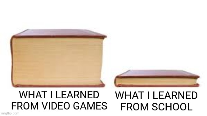 Benefits of a gamer | WHAT I LEARNED FROM SCHOOL; WHAT I LEARNED FROM VIDEO GAMES | image tagged in big book small book | made w/ Imgflip meme maker