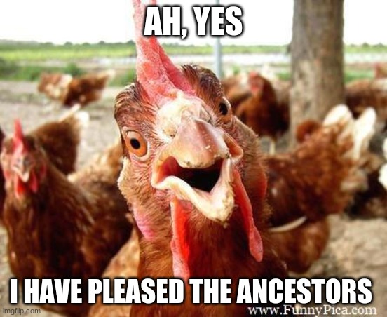 Chicken | AH, YES I HAVE PLEASED THE ANCESTORS | image tagged in chicken | made w/ Imgflip meme maker