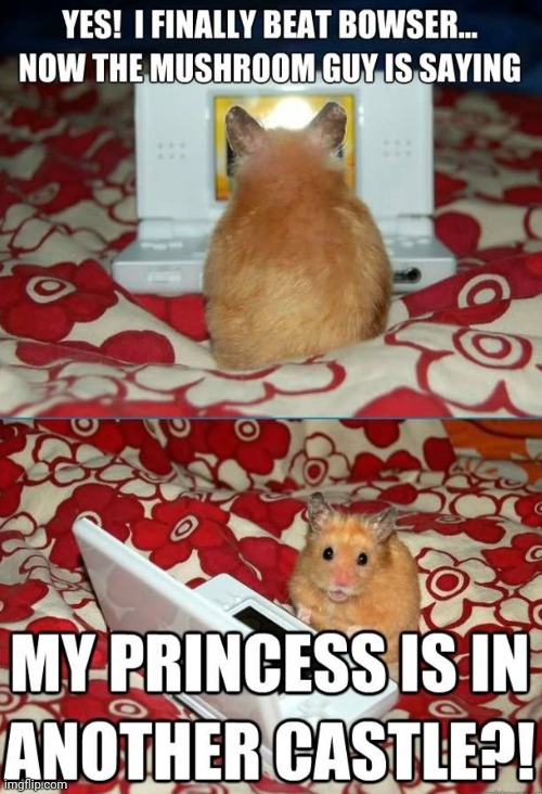 Gaming Hamster (Not Mine) | image tagged in hamster,gaming,mario,bowser,funny animals | made w/ Imgflip meme maker