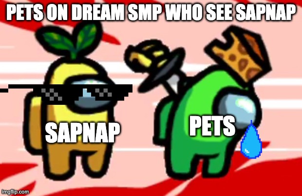 Among Us Stab | PETS ON DREAM SMP WHO SEE SAPNAP; SAPNAP; PETS | image tagged in among us stab | made w/ Imgflip meme maker