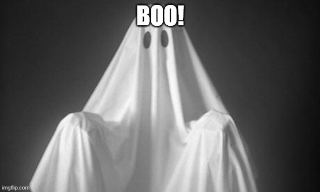 Ghost | BOO! | image tagged in ghost | made w/ Imgflip meme maker