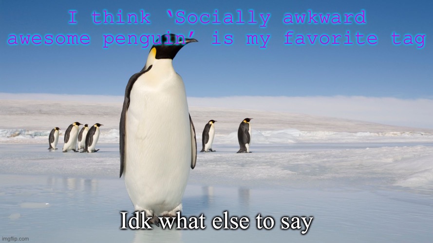 I think ‘Socially awkward awesome penguin’ is my favorite tag; Idk what else to say | image tagged in socially awesome awkward penguin | made w/ Imgflip meme maker