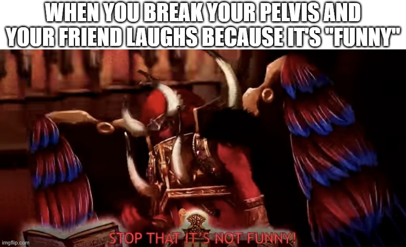 STOP THAT IT’S NOT FUNNY! | WHEN YOU BREAK YOUR PELVIS AND YOUR FRIEND LAUGHS BECAUSE IT'S "FUNNY" | image tagged in stop that it s not funny | made w/ Imgflip meme maker