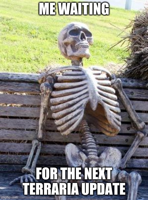 Waiting Skeleton | ME WAITING; FOR THE NEXT TERRARIA UPDATE | image tagged in memes,waiting skeleton | made w/ Imgflip meme maker