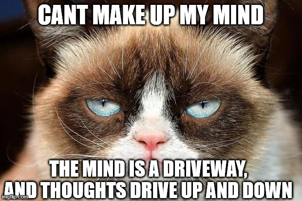 Grumpy Cat Not Amused Meme | CANT MAKE UP MY MIND; THE MIND IS A DRIVEWAY, AND THOUGHTS DRIVE UP AND DOWN | image tagged in memes,grumpy cat not amused,grumpy cat | made w/ Imgflip meme maker