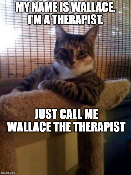 The Most Interesting Cat In The World Meme | MY NAME IS WALLACE. I'M A THERAPIST. JUST CALL ME WALLACE THE THERAPIST | image tagged in memes,the most interesting cat in the world | made w/ Imgflip meme maker