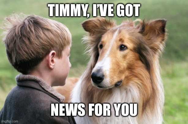 lassie and timmy | TIMMY, I’VE GOT NEWS FOR YOU | image tagged in lassie and timmy | made w/ Imgflip meme maker