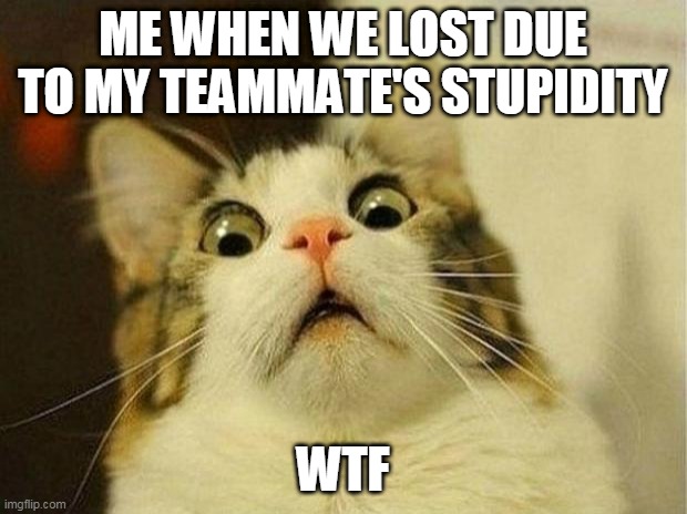 Why would i let them in my team? | ME WHEN WE LOST DUE TO MY TEAMMATE'S STUPIDITY; WTF | image tagged in memes,angry cat | made w/ Imgflip meme maker