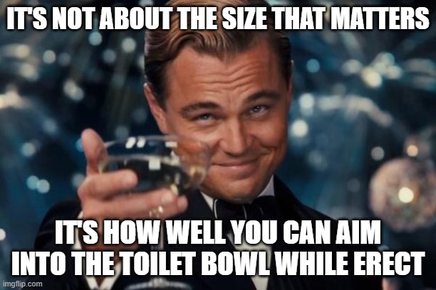 Leonardo Dicaprio Cheers Meme | IT'S NOT ABOUT THE SIZE THAT MATTERS; IT'S HOW WELL YOU CAN AIM INTO THE TOILET BOWL WHILE ERECT | image tagged in memes,leonardo dicaprio cheers | made w/ Imgflip meme maker