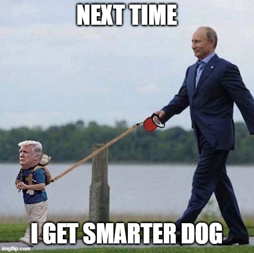 Putin trump leash | NEXT TIME I GET SMARTER DOG | image tagged in putin trump leash | made w/ Imgflip meme maker