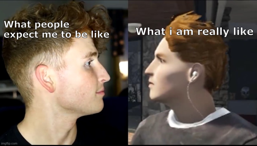 I can relate. | What i am really like; What people expect me to be like | image tagged in reality vs what they want me to be,fun,relateable,expectation vs reality | made w/ Imgflip meme maker