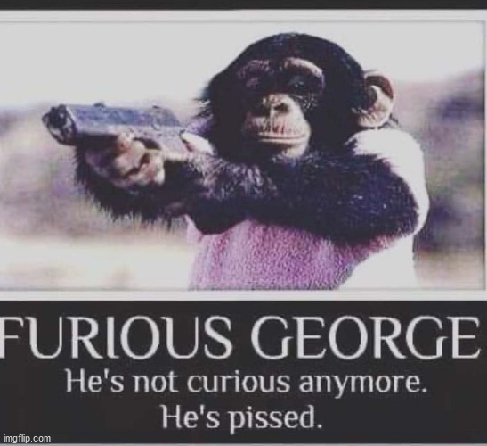 Furious George | image tagged in furious george | made w/ Imgflip meme maker