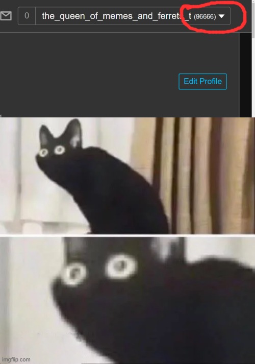 reeeeeeeeeeeeeeeeeee | image tagged in oh no black cat | made w/ Imgflip meme maker