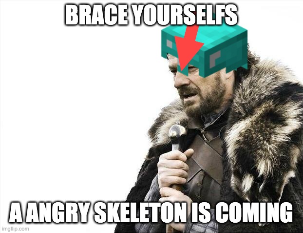 BRACE YOURSELFS; A ANGRY SKELETON IS COMING | image tagged in minecraft,where is,tennis | made w/ Imgflip meme maker