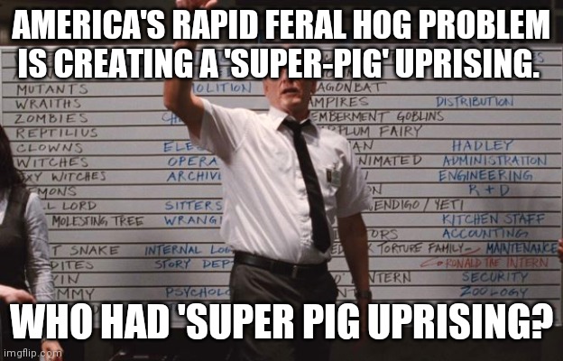 Super Pigs!  ... Thanks 2020! | AMERICA'S RAPID FERAL HOG PROBLEM IS CREATING A 'SUPER-PIG' UPRISING. WHO HAD 'SUPER PIG UPRISING? | image tagged in who had | made w/ Imgflip meme maker