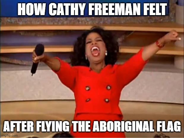 Oprah You Get A Meme | HOW CATHY FREEMAN FELT; AFTER FLYING THE ABORIGINAL FLAG | image tagged in memes,oprah you get a | made w/ Imgflip meme maker