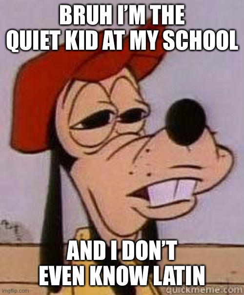 Stoned goofy | BRUH I’M THE QUIET KID AT MY SCHOOL AND I DON’T EVEN KNOW LATIN | image tagged in stoned goofy | made w/ Imgflip meme maker