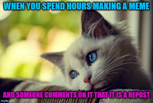 First World Problems Cat Meme | WHEN YOU SPEND HOURS MAKING A MEME; AND SOMEONE COMMENTS ON IT THAT IT IS A REPOST | image tagged in memes,first world problems cat | made w/ Imgflip meme maker