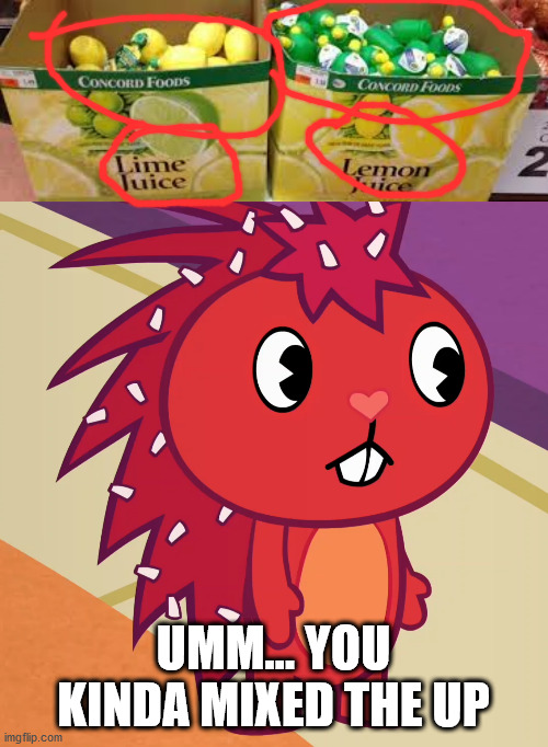 Lemon and lime got mixed LOL! | UMM... YOU KINDA MIXED THE UP | image tagged in flaky htf | made w/ Imgflip meme maker