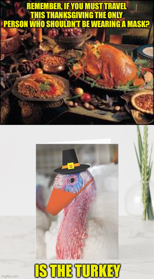 For the maskless science deniers who are Traveling, a friendly gesture | REMEMBER, IF YOU MUST TRAVEL THIS THANKSGIVING THE ONLY PERSON WHO SHOULDN’T BE WEARING A MASK? IS THE TURKEY | image tagged in thanksgivinggames,wear a mask,trump supporters,everyone,happy,thanksgiving | made w/ Imgflip meme maker