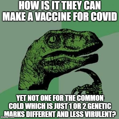 Makes You Wonder | HOW IS IT THEY CAN MAKE A VACCINE FOR COVID; YET NOT ONE FOR THE COMMON COLD WHICH IS JUST 1 OR 2 GENETIC MARKS DIFFERENT AND LESS VIRULENT? | image tagged in memes,philosoraptor | made w/ Imgflip meme maker