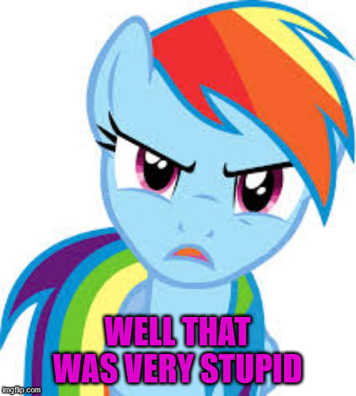 Angry Rainbow Dash | WELL THAT WAS VERY STUPID | image tagged in angry rainbow dash | made w/ Imgflip meme maker