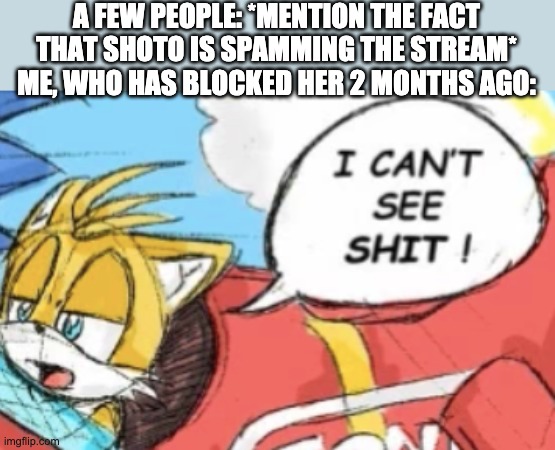 I can't see shit tails | A FEW PEOPLE: *MENTION THE FACT THAT SHOTO IS SPAMMING THE STREAM*
ME, WHO HAS BLOCKED HER 2 MONTHS AGO: | image tagged in i can't see shit tails | made w/ Imgflip meme maker