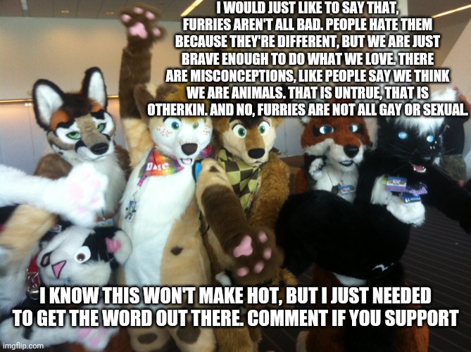 Take time to consider changing your minds haters, I don't hate back. Everyone has opinions, but please keep harmful ones to your | I WOULD JUST LIKE TO SAY THAT, FURRIES AREN'T ALL BAD. PEOPLE HATE THEM BECAUSE THEY'RE DIFFERENT, BUT WE ARE JUST BRAVE ENOUGH TO DO WHAT WE LOVE. THERE ARE MISCONCEPTIONS, LIKE PEOPLE SAY WE THINK WE ARE ANIMALS. THAT IS UNTRUE, THAT IS OTHERKIN. AND NO, FURRIES ARE NOT ALL GAY OR SEXUAL. I KNOW THIS WON'T MAKE HOT, BUT I JUST NEEDED TO GET THE WORD OUT THERE. COMMENT IF YOU SUPPORT | image tagged in furries | made w/ Imgflip meme maker