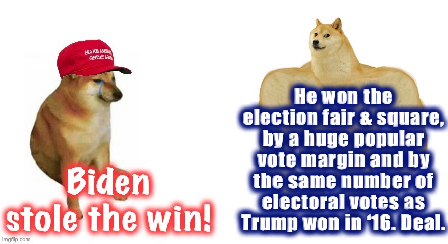 Did you miss the last 2.5 weeks of politics? Well, here’s the Tl;dr summary | image tagged in biden stole the win,election 2020,2020 elections,election,democracy,buff doge vs cheems | made w/ Imgflip meme maker