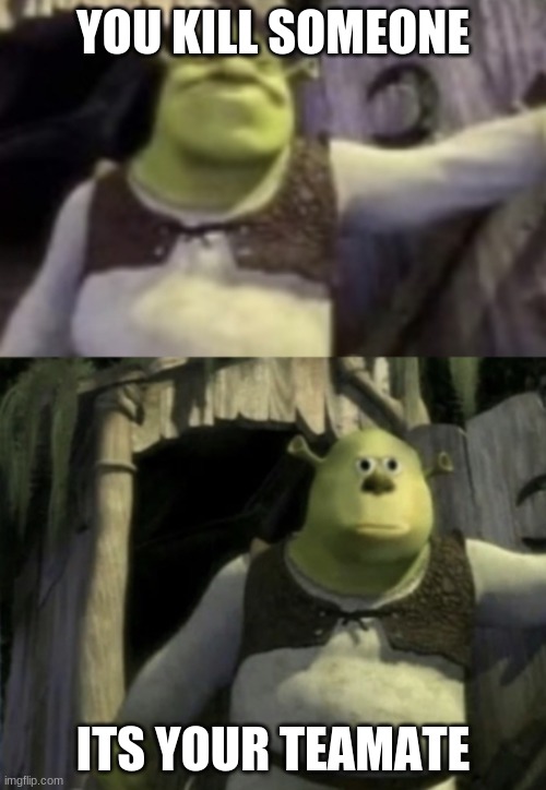 csgo competitive | YOU KILL SOMEONE; ITS YOUR TEAMATE | image tagged in shocked shrek face swap | made w/ Imgflip meme maker