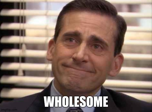 wholesome | WHOLESOME | image tagged in wholesome | made w/ Imgflip meme maker