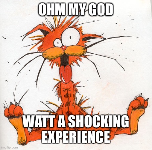 Bill the Cat | OHM MY GOD WATT A SHOCKING EXPERIENCE | image tagged in bill the cat | made w/ Imgflip meme maker