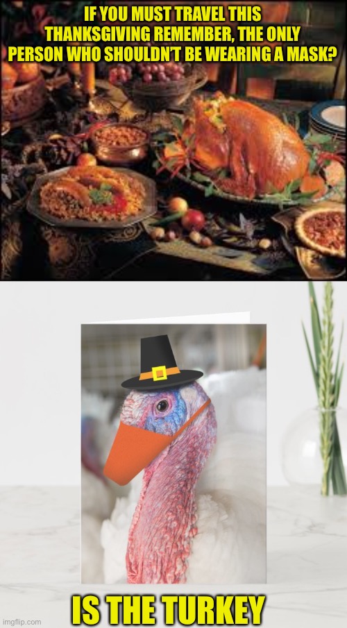 Be safe this thanksgiving | IF YOU MUST TRAVEL THIS THANKSGIVING REMEMBER, THE ONLY PERSON WHO SHOULDN’T BE WEARING A MASK? IS THE TURKEY | image tagged in thanksgivinggames,safety,face mask,politics,happy thanksgiving,funny | made w/ Imgflip meme maker