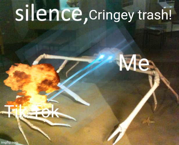 Silence Crab | Cringey trash! Me; Tik Tok | image tagged in silence crab | made w/ Imgflip meme maker