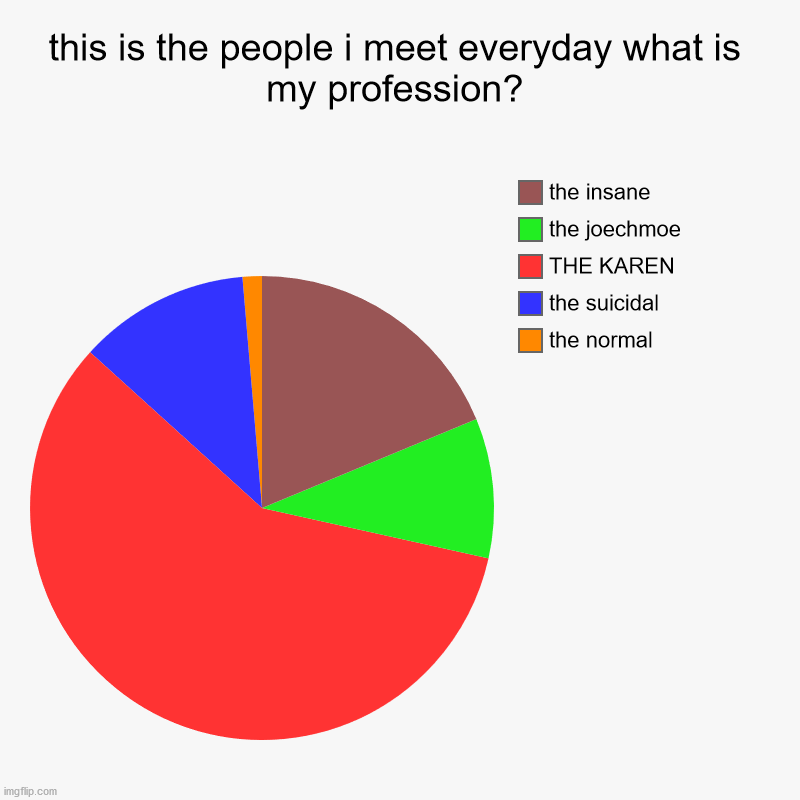 guess my riddle | this is the people i meet everyday what is my profession? | the normal, the suicidal, THE KAREN, the joechmoe, the insane | image tagged in charts,pie charts | made w/ Imgflip chart maker