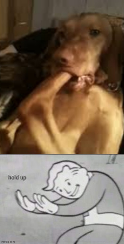 image tagged in fallout hold up | made w/ Imgflip meme maker